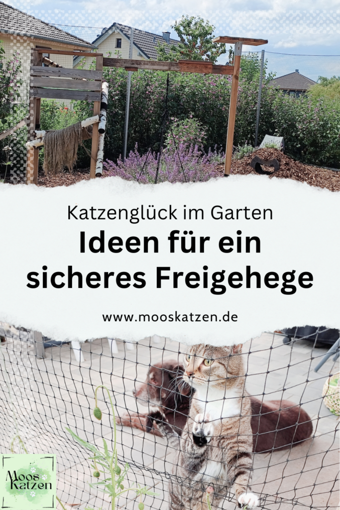 gesicherter Freigang