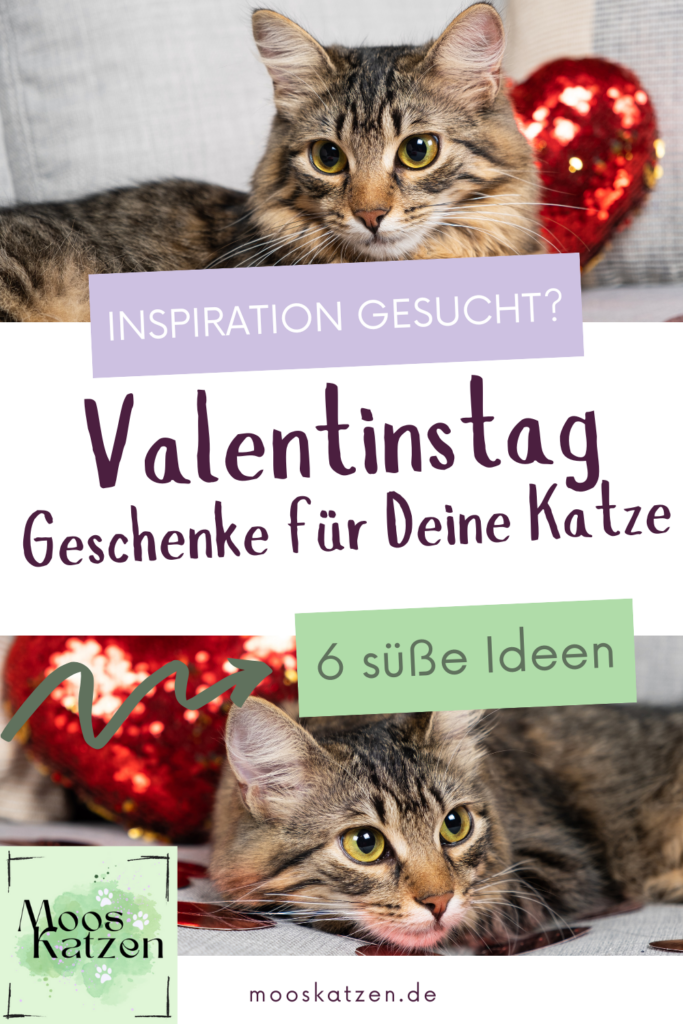 Valentinstag Geschenke Katze