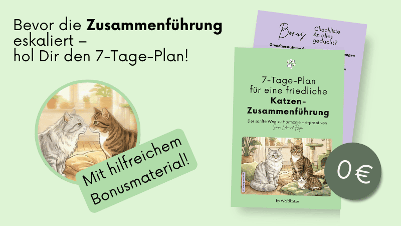 Katzen Zusammenführung Guide