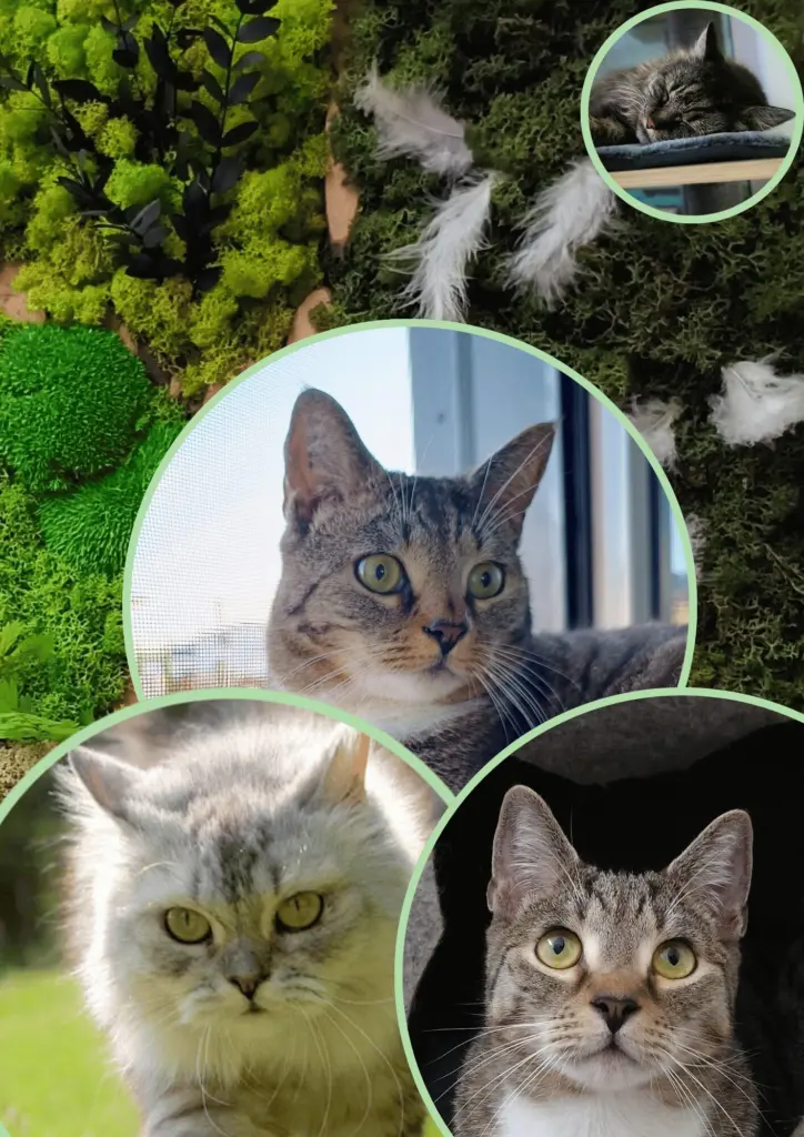 Portrait Home Webseite Portrait Home Webseite