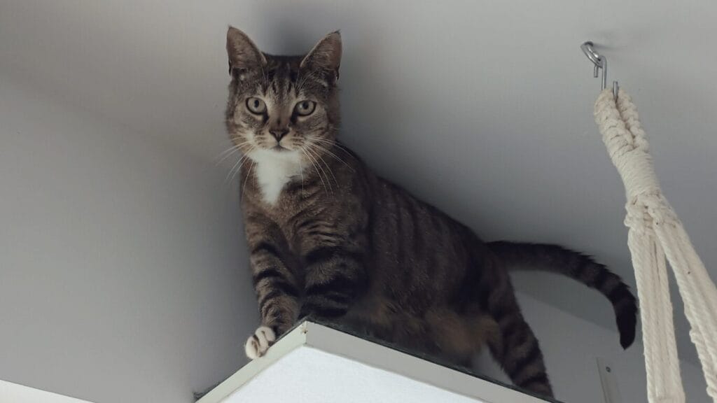 Wohnung bereit Checkliste