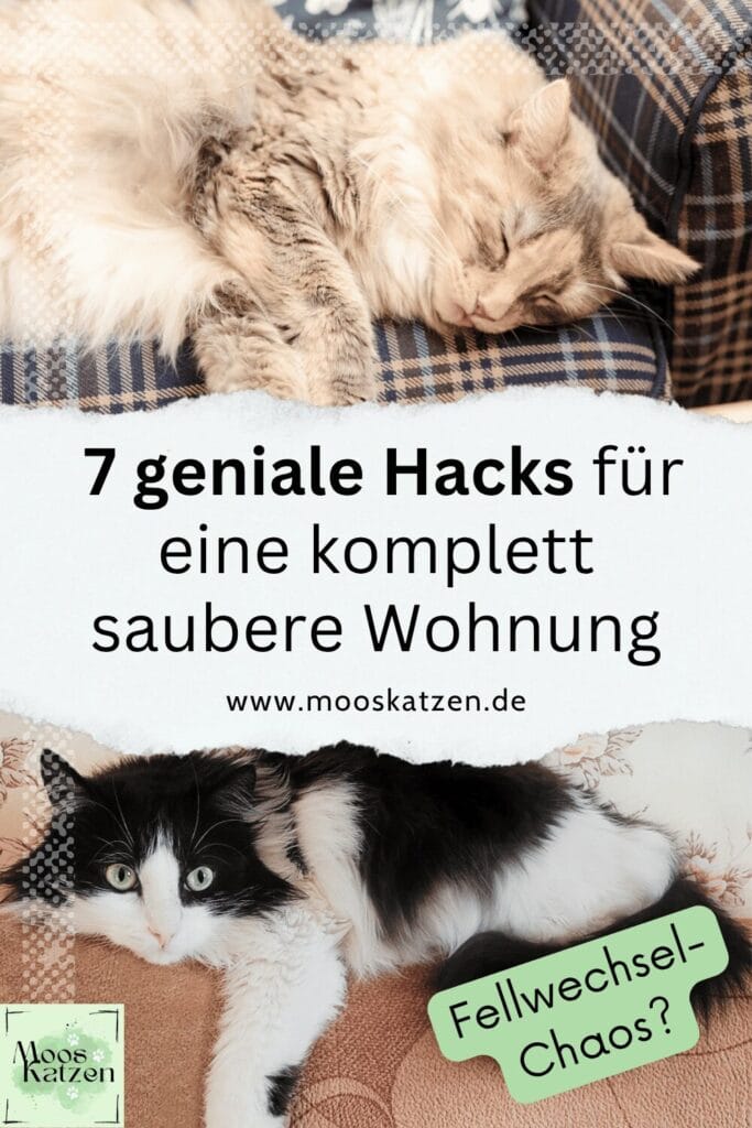Katzenhaare entfernen