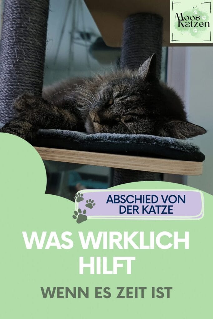 Abschied von der Katze