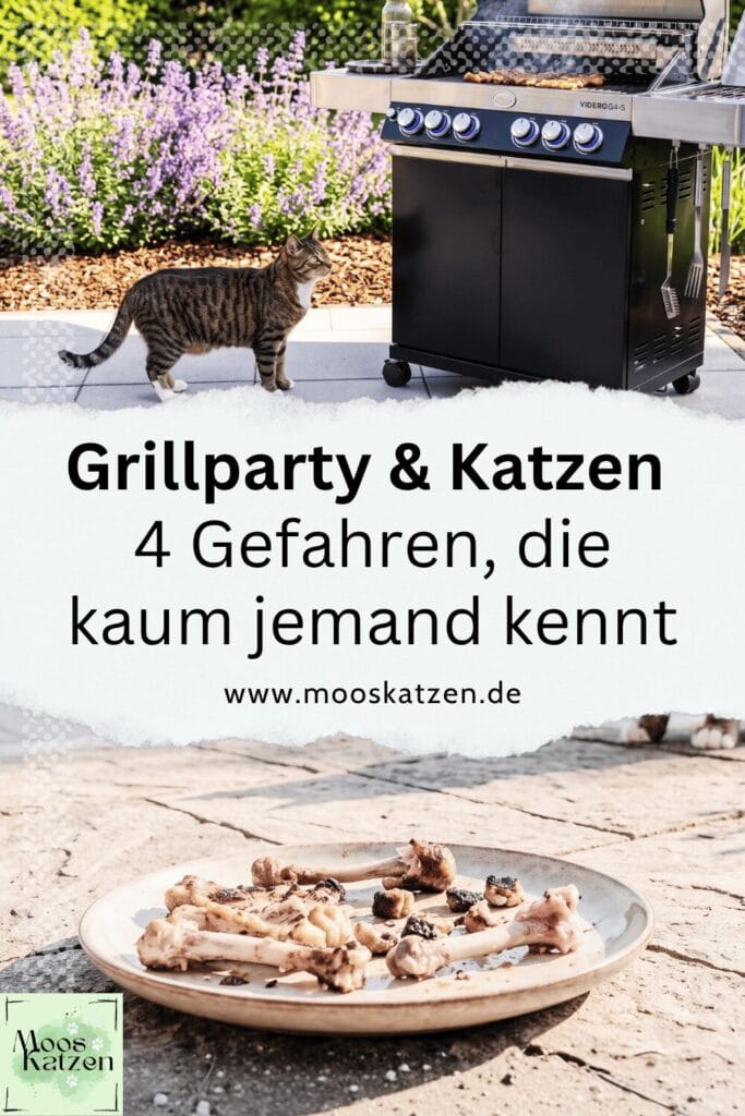 Grillpartys für Katzen