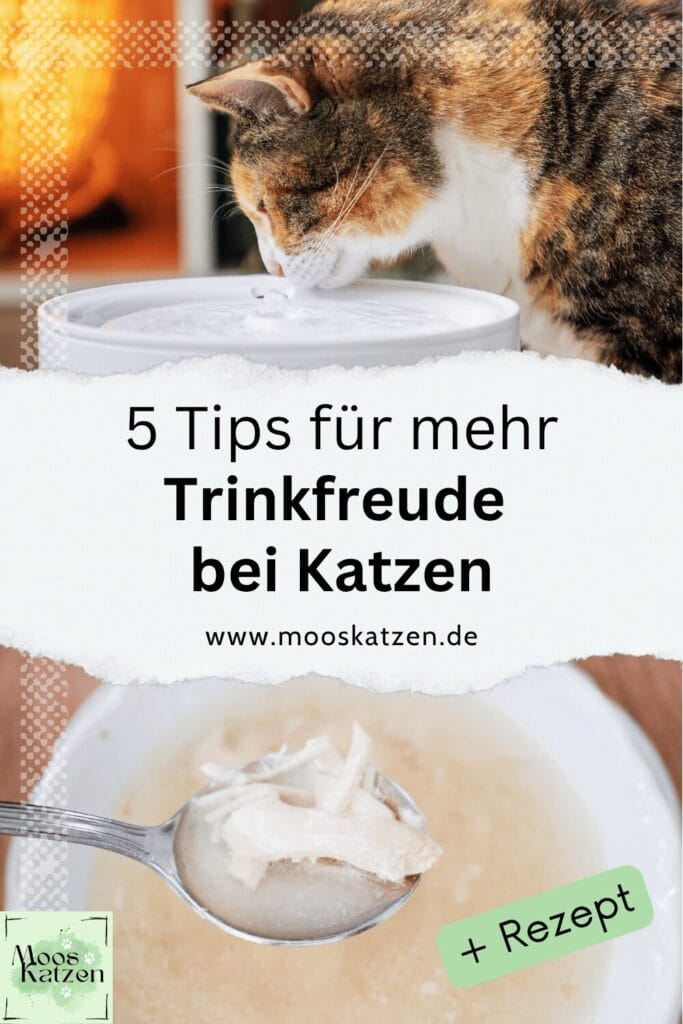 trinkfaule Katzen animieren