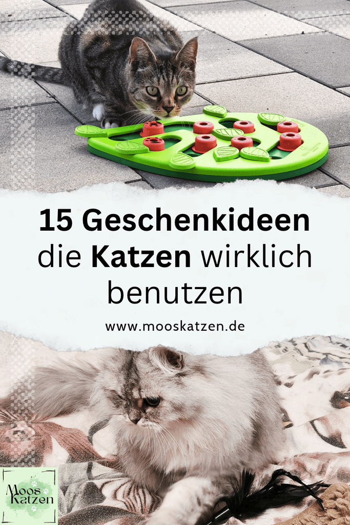 Geschenkideen für Katzen